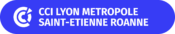 (CCI) de Lyon