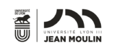 Université Lyon III